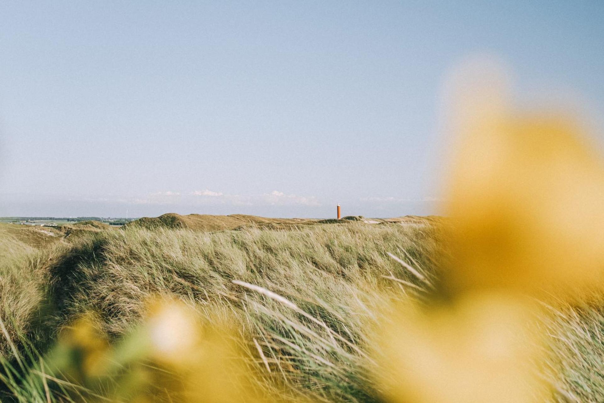 De Duintuin - In De Duinen, Groote Keeten Aan Zee Калантсоог Екстериор снимка