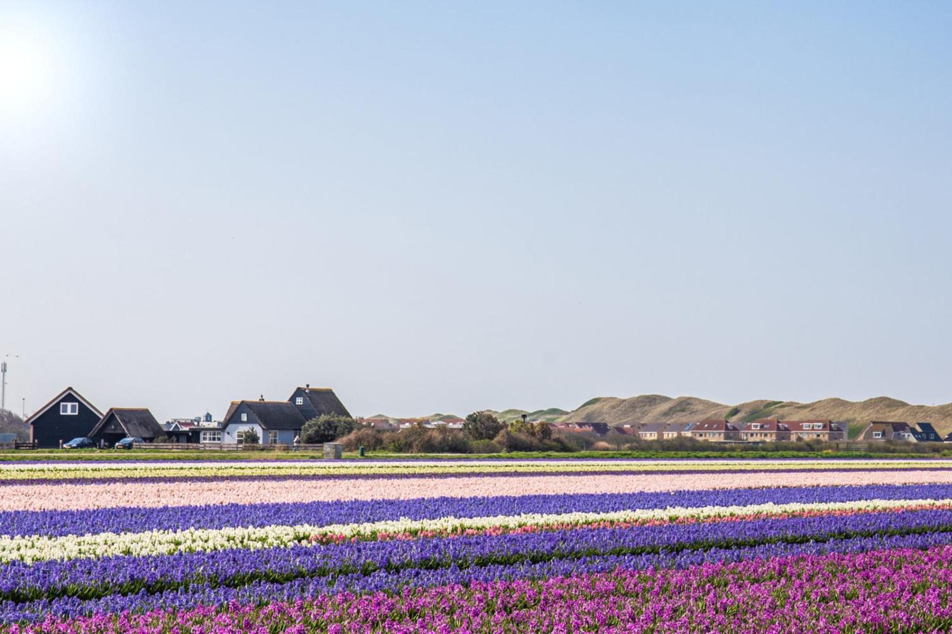 De Duintuin - In De Duinen, Groote Keeten Aan Zee Калантсоог Екстериор снимка